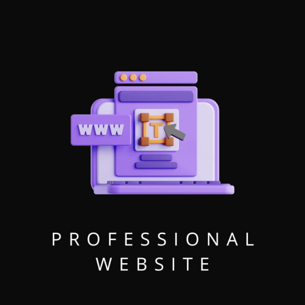 professional website
